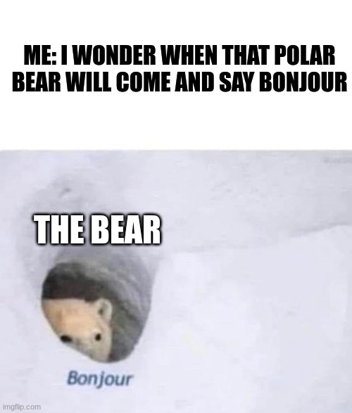 idk | ME: I WONDER WHEN THAT POLAR BEAR WILL COME AND SAY BONJOUR; THE BEAR | image tagged in bonjour | made w/ Imgflip meme maker