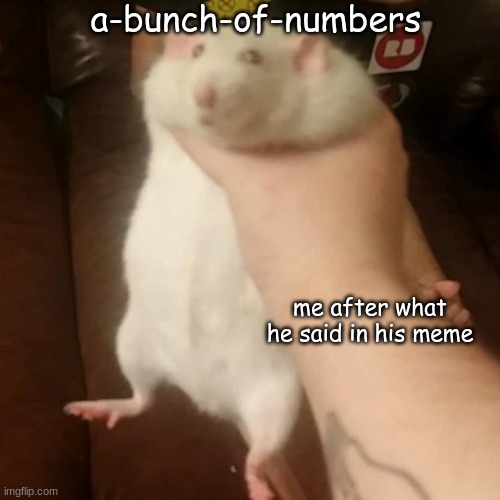 Grabbing a fat rat | a-bunch-of-numbers me after what he said in his meme | image tagged in grabbing a fat rat | made w/ Imgflip meme maker