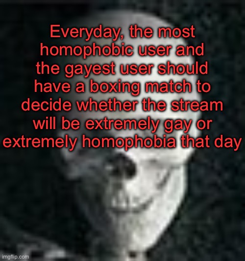 We just gotta decide who’s who | Everyday, the most homophobic user and the gayest user should have a boxing match to decide whether the stream will be extremely gay or extremely homophobia that day | image tagged in skull | made w/ Imgflip meme maker