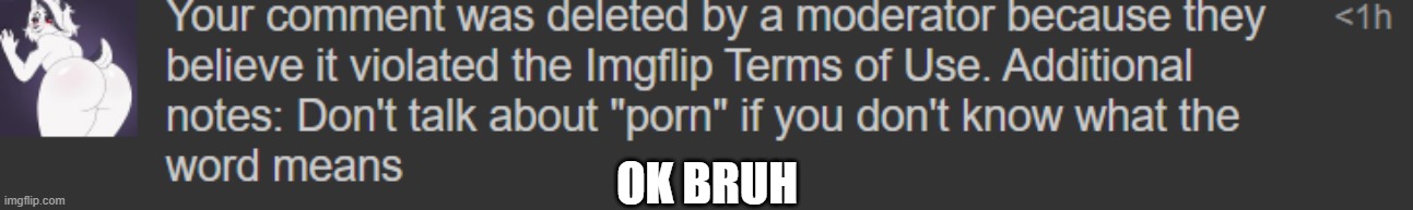 sending this as nsfw | OK BRUH | made w/ Imgflip meme maker