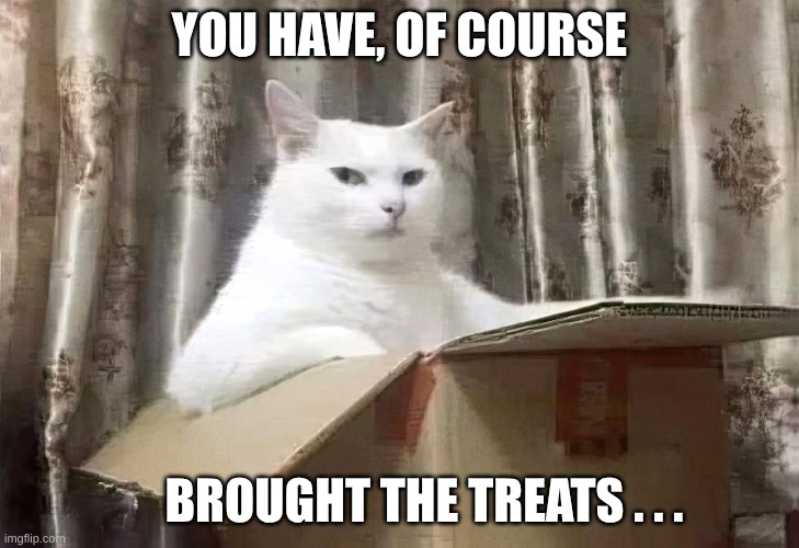 You must not approach without treats | YOU HAVE, OF COURSE; BROUGHT THE TREATS . . . | image tagged in cat in a box,treats,cat,king | made w/ Imgflip meme maker