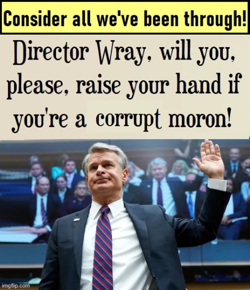 Here's a Real G-Man (where "G" stands for Gutless) | image tagged in vince vance,fbi,memes,corruption,liar,fbi director | made w/ Imgflip meme maker