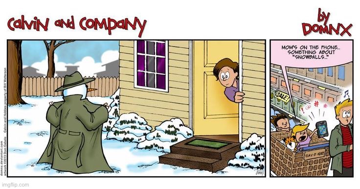 image tagged in comics,calvin and company,calvin and hobbes,snowman,flasher | made w/ Imgflip meme maker