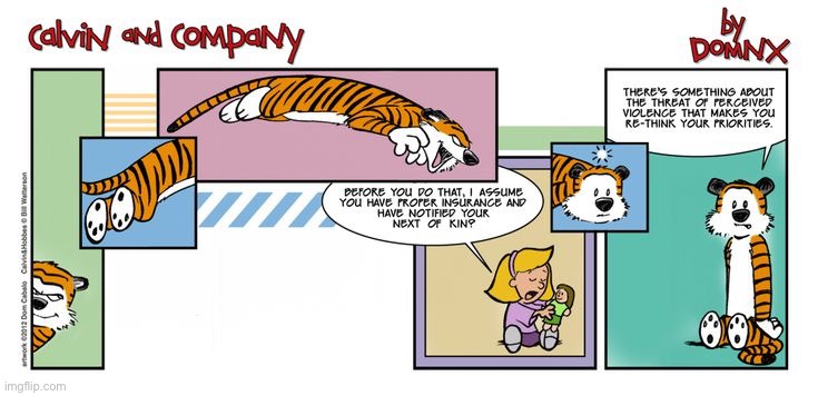 Simone handles Hobbes differently than Calvin did when he was a kid… | image tagged in calvin and hobbes,calvin and company,tribute,dont do that | made w/ Imgflip meme maker