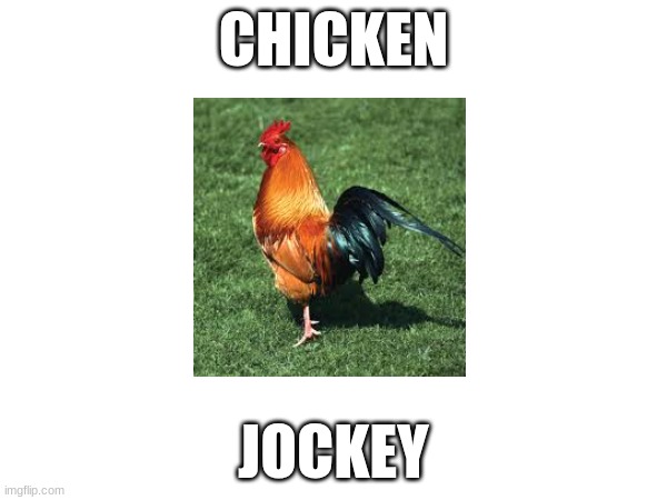 chichocweefew help me | CHICKEN; JOCKEY | image tagged in cringe | made w/ Imgflip meme maker