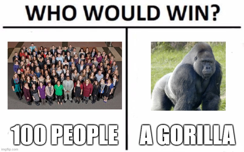 New debate | 100 PEOPLE; A GORILLA | image tagged in memes,who would win | made w/ Imgflip meme maker