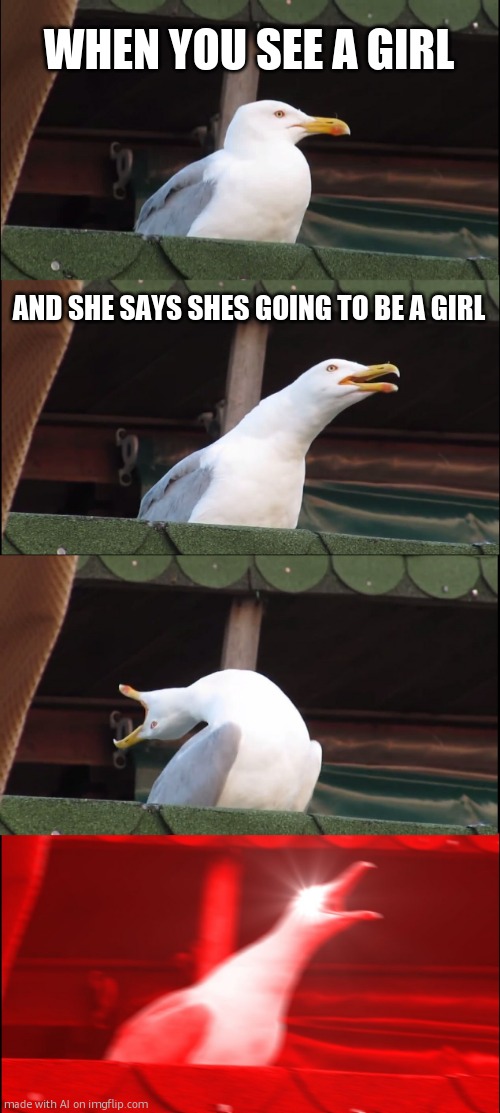what else are you gonna be, duh? | WHEN YOU SEE A GIRL; AND SHE SAYS SHES GOING TO BE A GIRL | image tagged in memes,inhaling seagull | made w/ Imgflip meme maker