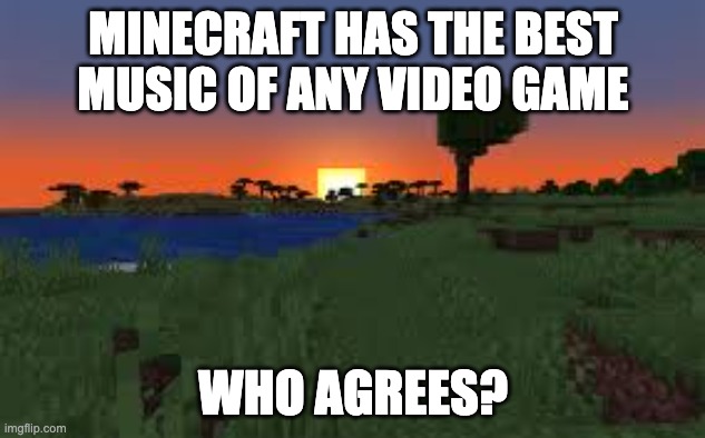 if only they played it more often | MINECRAFT HAS THE BEST MUSIC OF ANY VIDEO GAME; WHO AGREES? | image tagged in minecraft,life | made w/ Imgflip meme maker