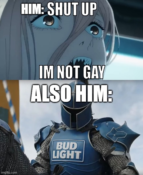 bud light knight | HIM:; ALSO HIM: | image tagged in im not gay,bud light knight | made w/ Imgflip meme maker