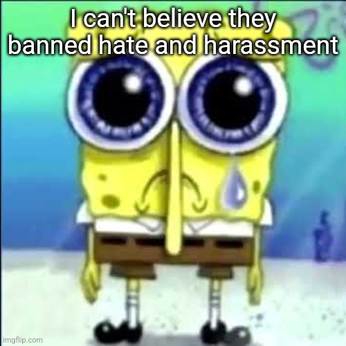 Sad Spongebob | I can't believe they banned hate and harassment | image tagged in sad spongebob | made w/ Imgflip meme maker