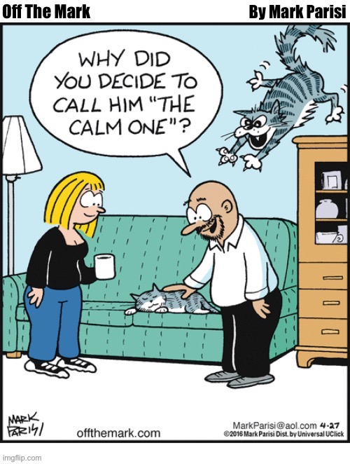 Off The Mark; By Mark Parisi | image tagged in cats,comics,off the mark | made w/ Imgflip meme maker