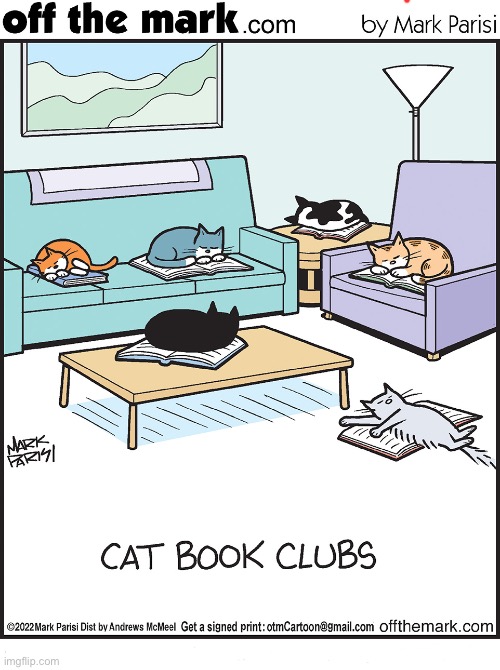 image tagged in cats,off the mark,comics,cat book club,napping | made w/ Imgflip meme maker