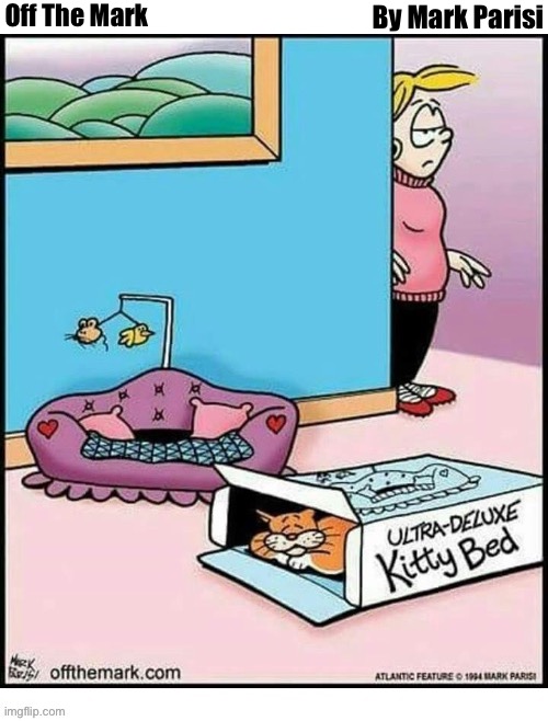 Off The Mark; By Mark Parisi | image tagged in cats,off the mark,comics,cats prefer the box | made w/ Imgflip meme maker