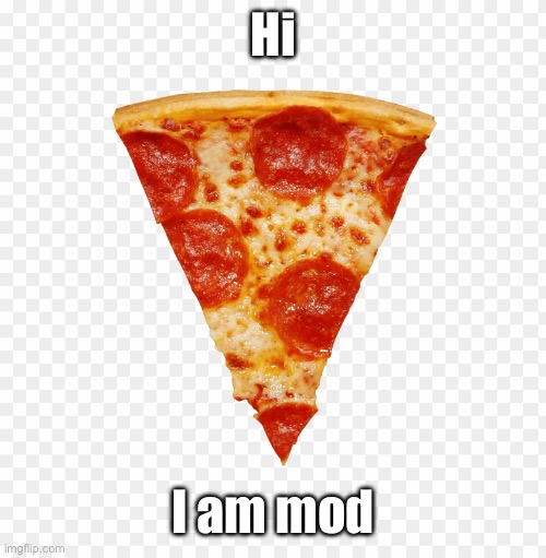 pizza | Hi; I am mod | image tagged in pizza | made w/ Imgflip meme maker