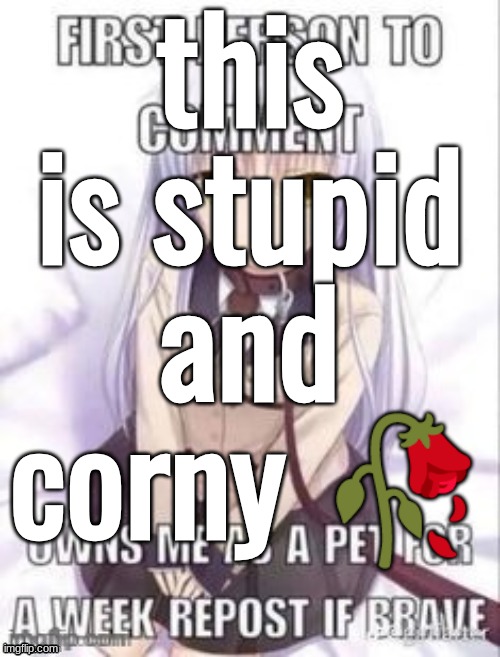 first person to comment owns as a pet for a week | this is stupid and corny 🥀 | image tagged in first person to comment owns as a pet for a week | made w/ Imgflip meme maker