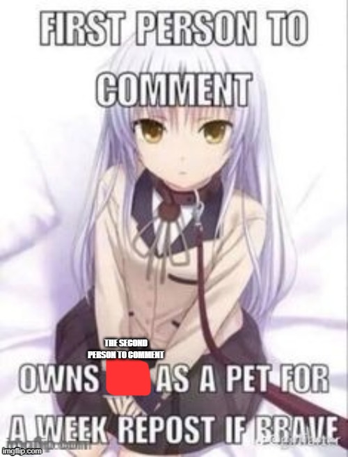 first person to comment owns as a pet for a week | THE SECOND PERSON TO COMMENT | image tagged in first person to comment owns as a pet for a week | made w/ Imgflip meme maker