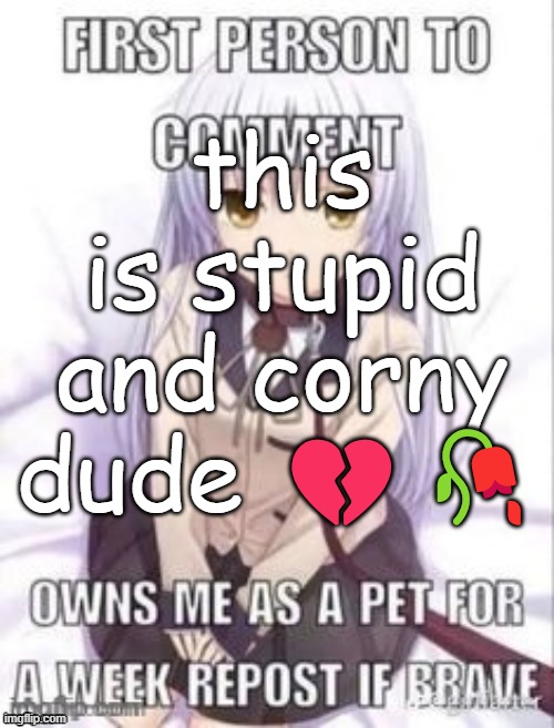 first person to comment owns as a pet for a week | this is stupid and corny dude 💔🥀 | image tagged in first person to comment owns as a pet for a week | made w/ Imgflip meme maker