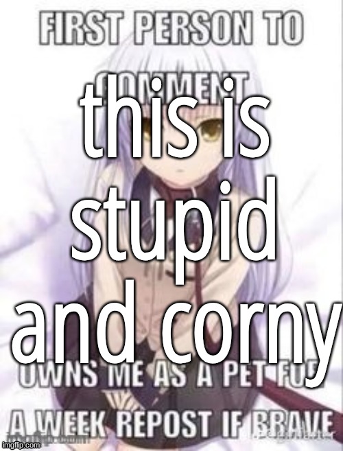 first person to comment owns as a pet for a week | this is stupid and corny | image tagged in first person to comment owns as a pet for a week | made w/ Imgflip meme maker