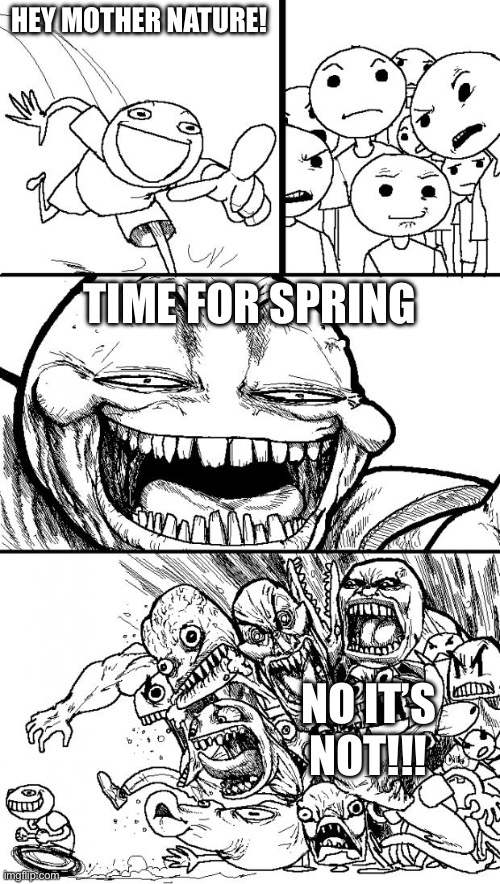This is the weather where I live anyway | HEY MOTHER NATURE! TIME FOR SPRING; NO IT’S NOT!!! | image tagged in memes,hey internet,weather,spring,mother nature,nature | made w/ Imgflip meme maker