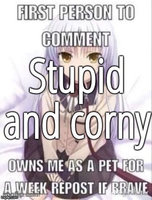 first person to comment owns as a pet for a week | Stupid and corny | image tagged in first person to comment owns as a pet for a week | made w/ Imgflip meme maker
