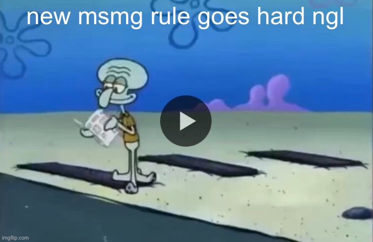 mood | new msmg rule goes hard ngl | image tagged in mood | made w/ Imgflip meme maker