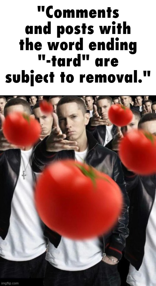 as a pop tard i do not approve of this rule | "Comments and posts with the word ending "-tard" are subject to removal." | made w/ Imgflip meme maker