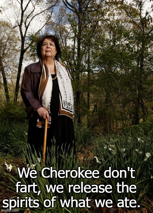 Cherokee | We Cherokee don't fart, we release the spirits of what we ate. | image tagged in wilma mankiller | made w/ Imgflip meme maker
