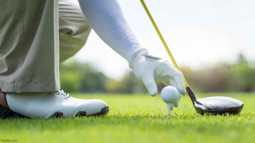 golf tee | image tagged in golf tee | made w/ Imgflip meme maker