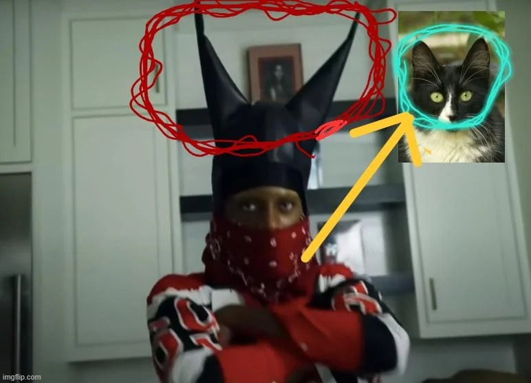 carti is a catboy confirmed | made w/ Imgflip meme maker