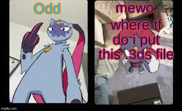 shared template thingy | where tf do i put this .3ds file | image tagged in shared template thingy | made w/ Imgflip meme maker