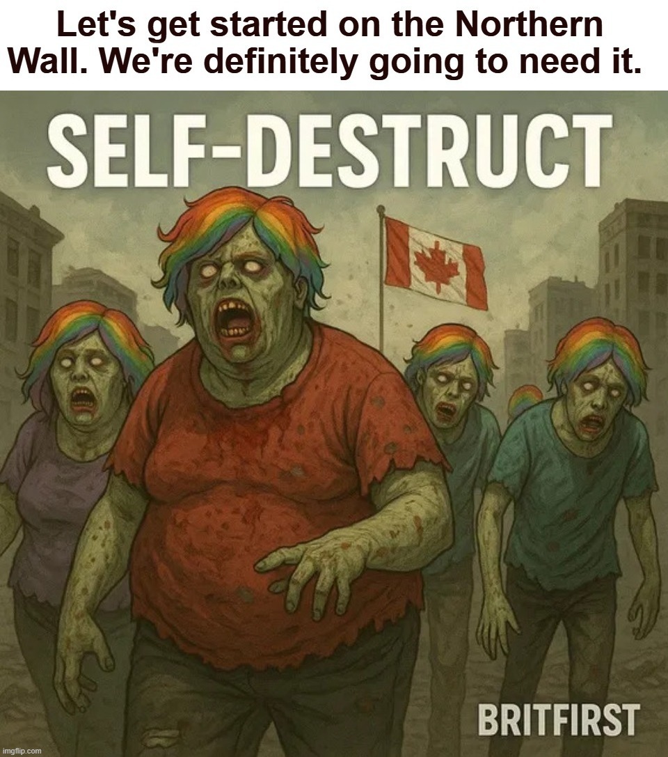 Let's get started on the Northern Wall. We're definitely going to need it. | image tagged in rest in peace,meanwhile in canada,stupid people be like,canadians,never go full retard,build the wall | made w/ Imgflip meme maker