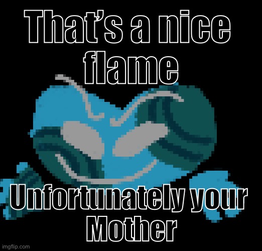 That’s a nice 
flame Unfortunately your 
Mother | made w/ Imgflip meme maker