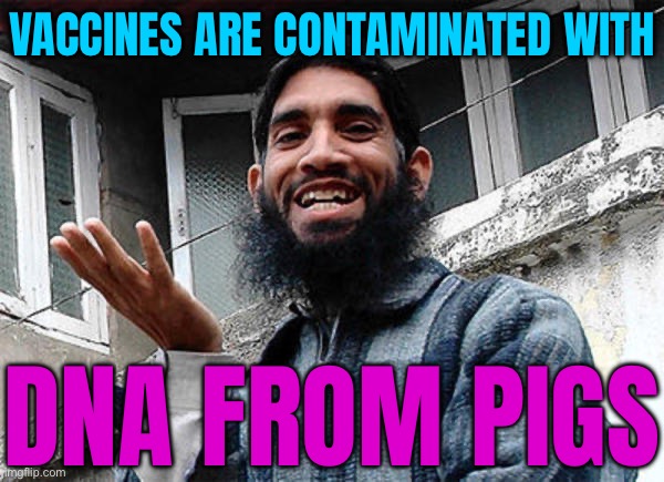 Haram-Permittable | VACCINES ARE CONTAMINATED WITH; DNA FROM PIGS | image tagged in islamic rage boy happy,covid vaccine,halal,radical islam,anti-religion,antivax | made w/ Imgflip meme maker