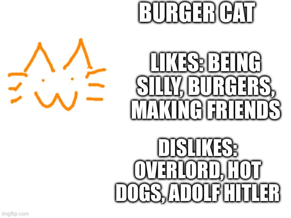 Burger cat character profile: burger caf | BURGER CAT; LIKES: BEING SILLY, BURGERS, MAKING FRIENDS; DISLIKES: OVERLORD, HOT DOGS, ADOLF HITLER | made w/ Imgflip meme maker