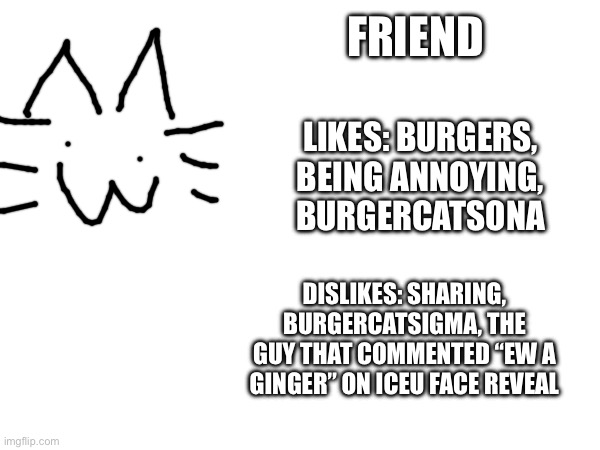 FRIEND; LIKES: BURGERS, BEING ANNOYING, BURGERCATSONA; DISLIKES: SHARING, BURGERCATSIGMA, THE GUY THAT COMMENTED “EW A GINGER” ON ICEU FACE REVEAL | made w/ Imgflip meme maker