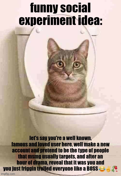 skibidi cat | funny social experiment idea:; let's say you're a well known, famous and loved user here, well make a new account and pretend to be the type of people that msmg usually targets, and after an hour of drama, reveal that it was you and you just friggin trolled everyone like a BOSS 😂✌️🥀 | image tagged in skibidi cat,sigma,tuff | made w/ Imgflip meme maker