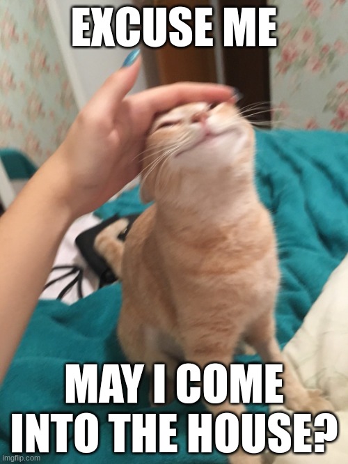 I promise I won't be at any kids with belts :3 | EXCUSE ME; MAY I COME INTO THE HOUSE? | image tagged in i'm lying | made w/ Imgflip meme maker