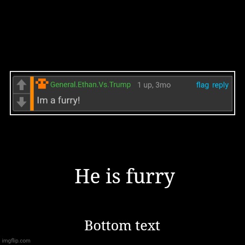 Bro is furry | He is furry | Bottom text | image tagged in funny,demotivationals | made w/ Imgflip demotivational maker