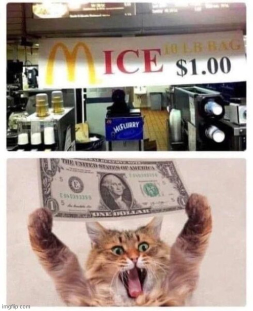 Is the dollar menu back? | image tagged in memes,dollar menu | made w/ Imgflip meme maker