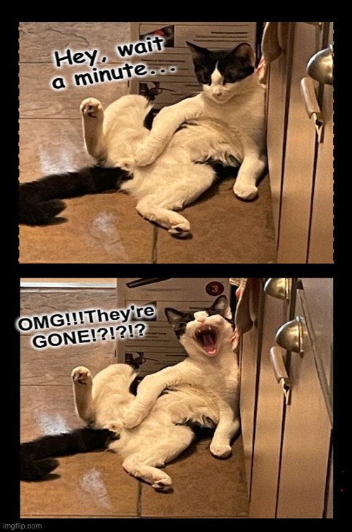 They're GONE!! | image tagged in they're gone | made w/ Imgflip meme maker