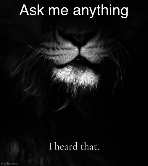 Ask me anything | made w/ Imgflip meme maker