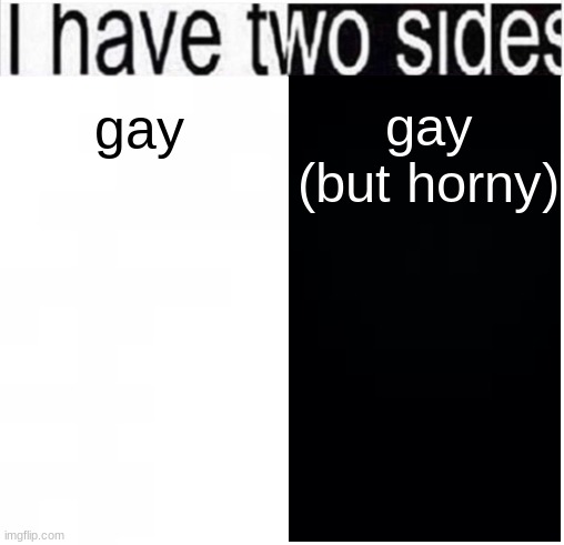 You do not want to see me when I'm in my horny mode. | gay (but horny); gay | image tagged in i have two sides | made w/ Imgflip meme maker