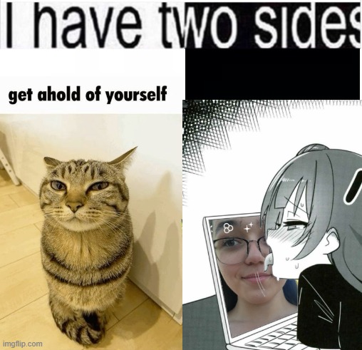 i have two sides | image tagged in i have two sides | made w/ Imgflip meme maker