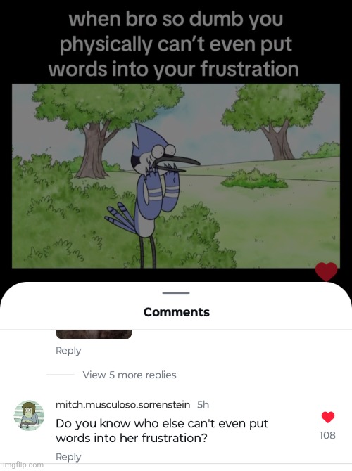 made w/ Imgflip meme maker