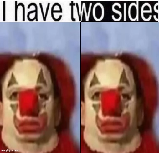 i have two sides | image tagged in i have two sides | made w/ Imgflip meme maker