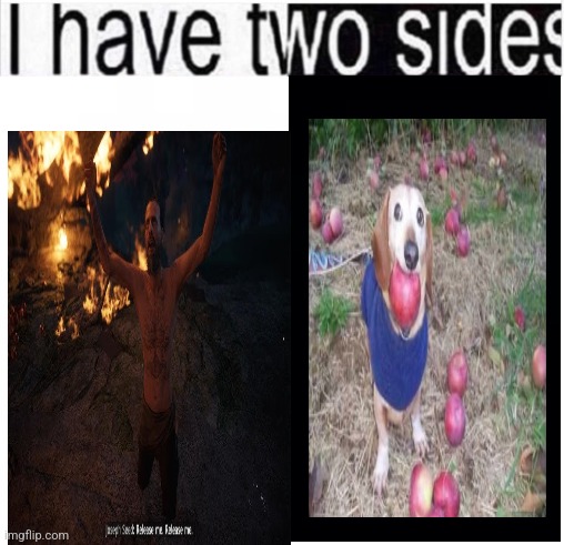 i have two sides | image tagged in i have two sides | made w/ Imgflip meme maker