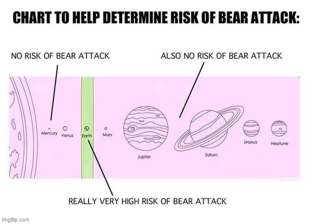 bear attack | made w/ Imgflip meme maker