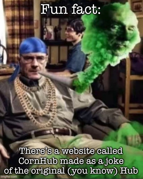 Waltuh | Fun fact:; There’s a website called CornHub made as a joke of the original (you know) Hub | image tagged in waltuh,msmg | made w/ Imgflip meme maker