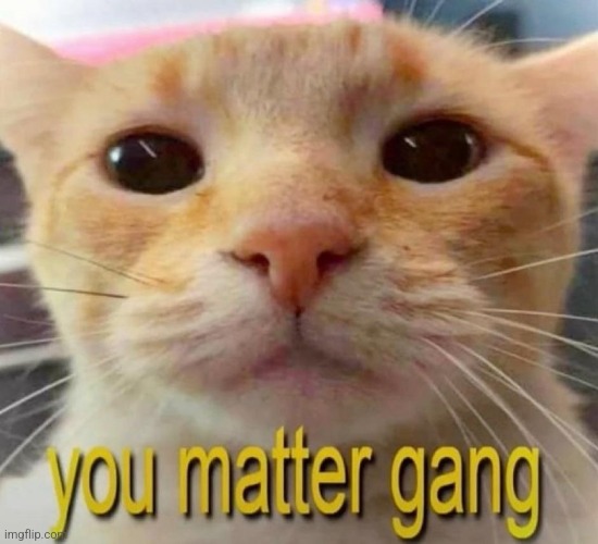 me talking to any substance that has mass and occupies space | made w/ Imgflip meme maker