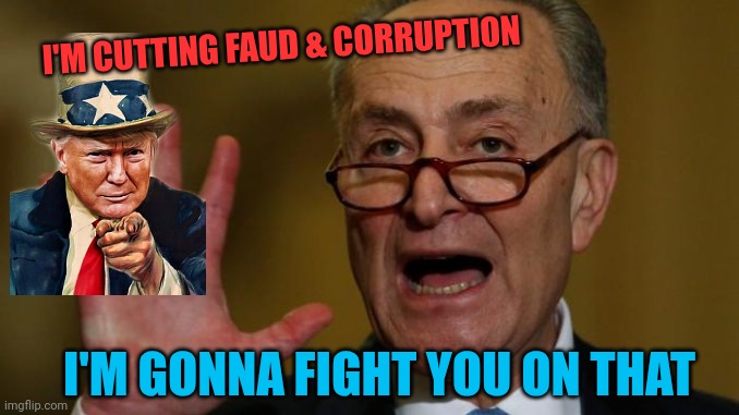 Chuck Schumer | I'M CUTTING FAUD & CORRUPTION; I'M GONNA FIGHT YOU ON THAT | image tagged in chuck schumer | made w/ Imgflip meme maker